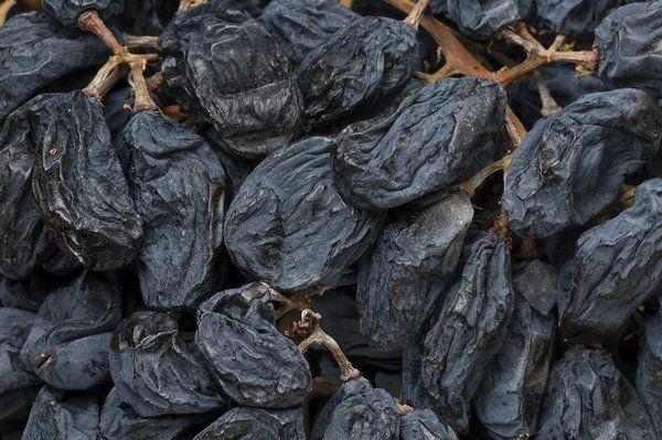 Comment s'organiser pour un séjour dans un vignoble français avec participation à la vendange?